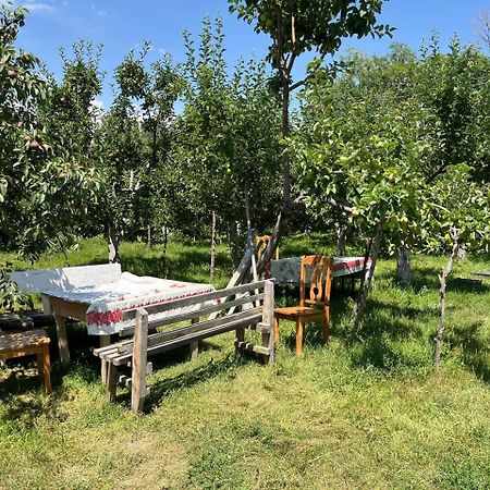 Bilim Guest House Tamchy Exterior foto