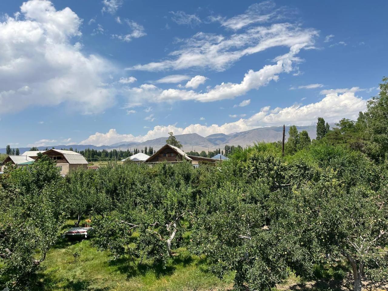 Bilim Guest House Tamchy Exterior foto