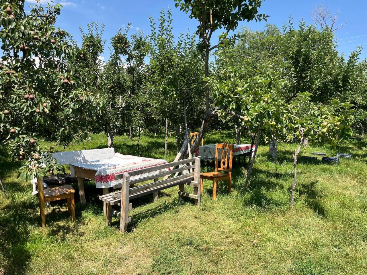 Bilim Guest House Tamchy Exterior foto