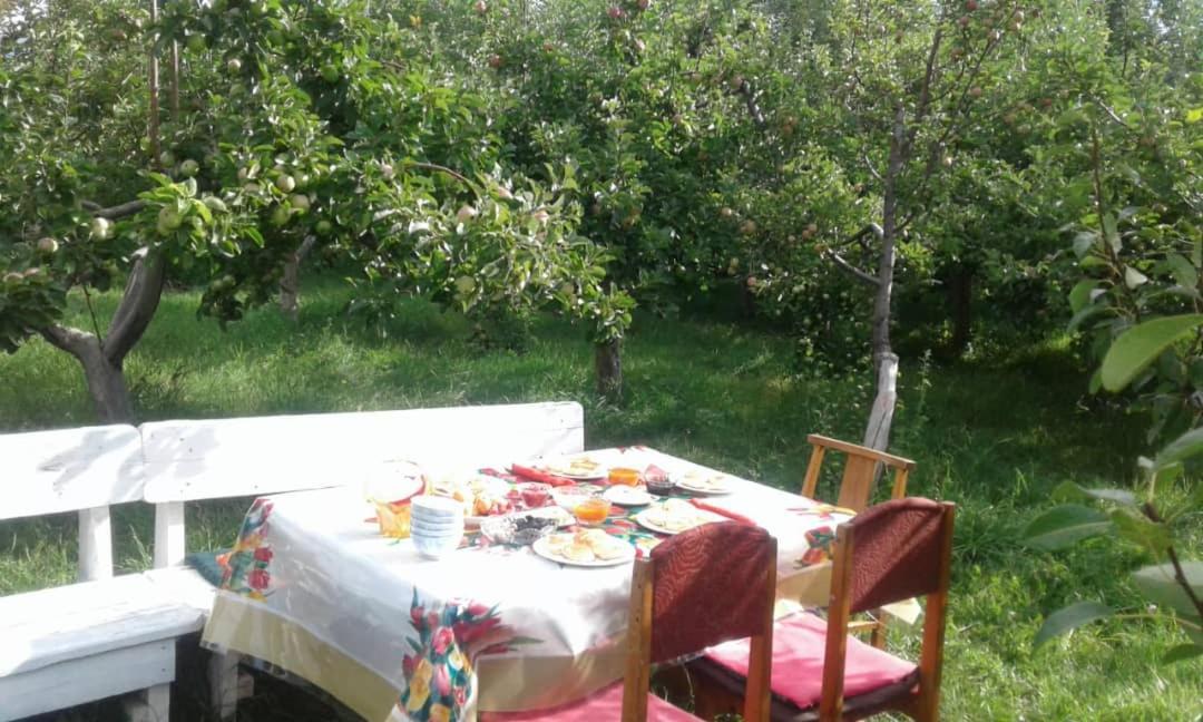 Bilim Guest House Tamchy Exterior foto